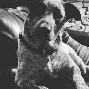 Meet your Posher, Sonia